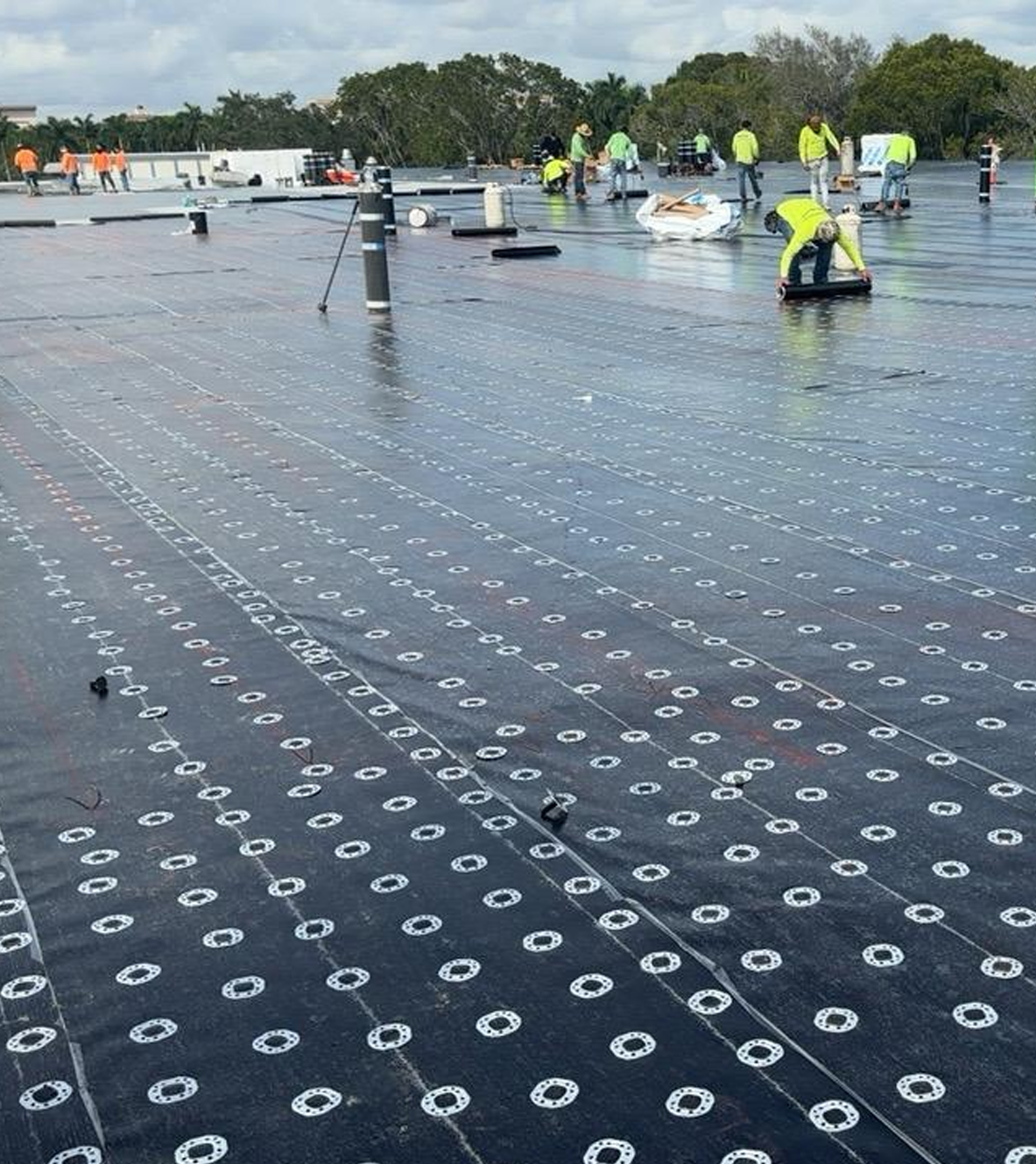 Flat Roof SBS Modified Roof